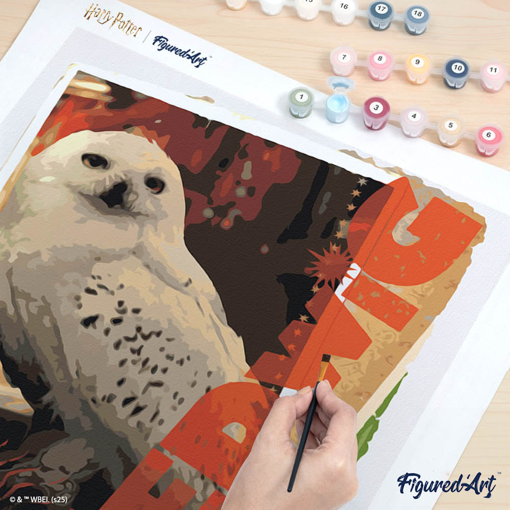Pintura por números - Harry Potter - Mapa de Hedwig