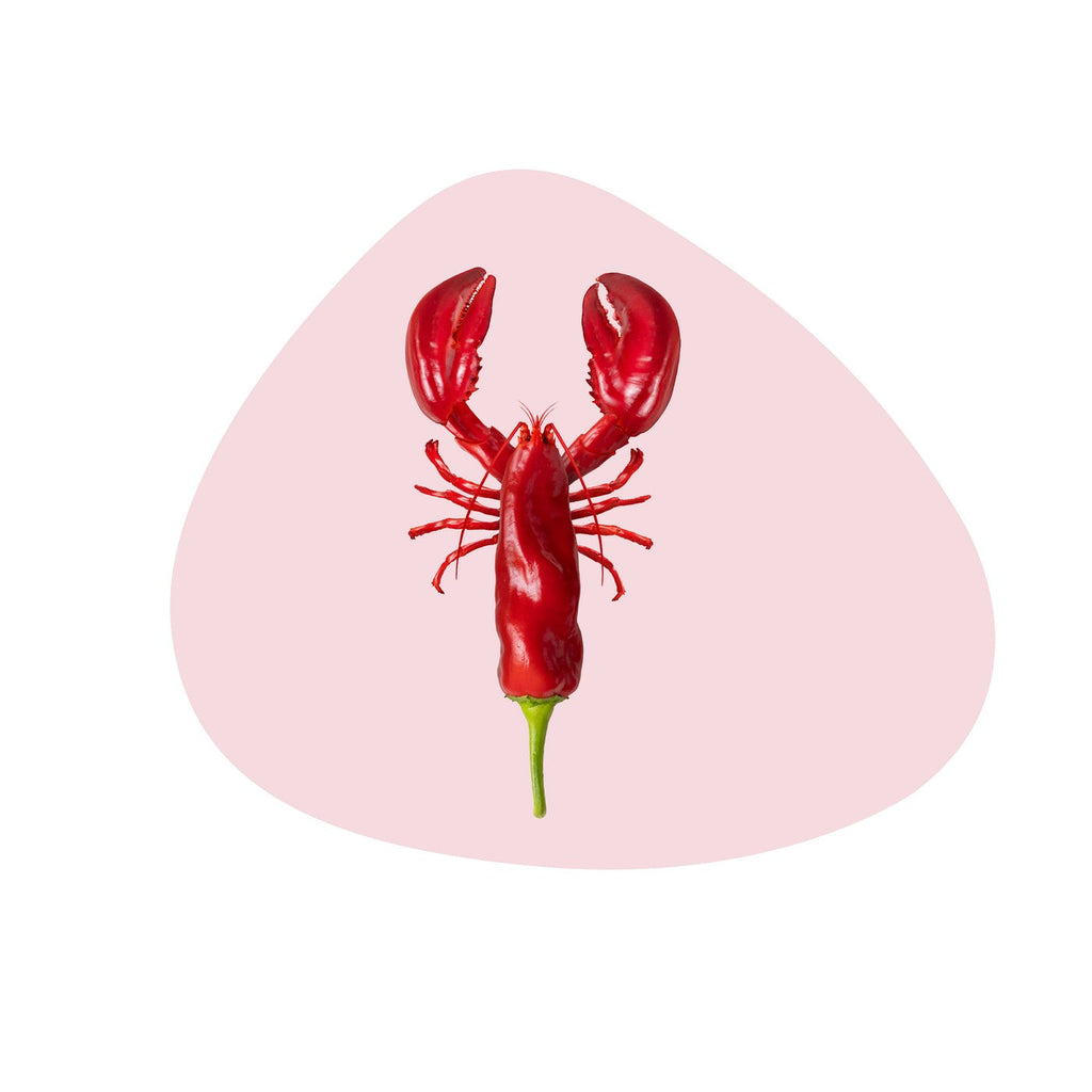 Set of 4 PVC Placemats - Lobster Decoration