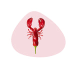 Set of 4 PVC Placemats - Lobster Decoration