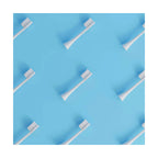 Brush Heads (X3) - White