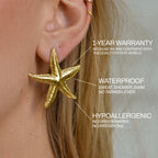 Boucles D'Oreilles Etoile De Mer