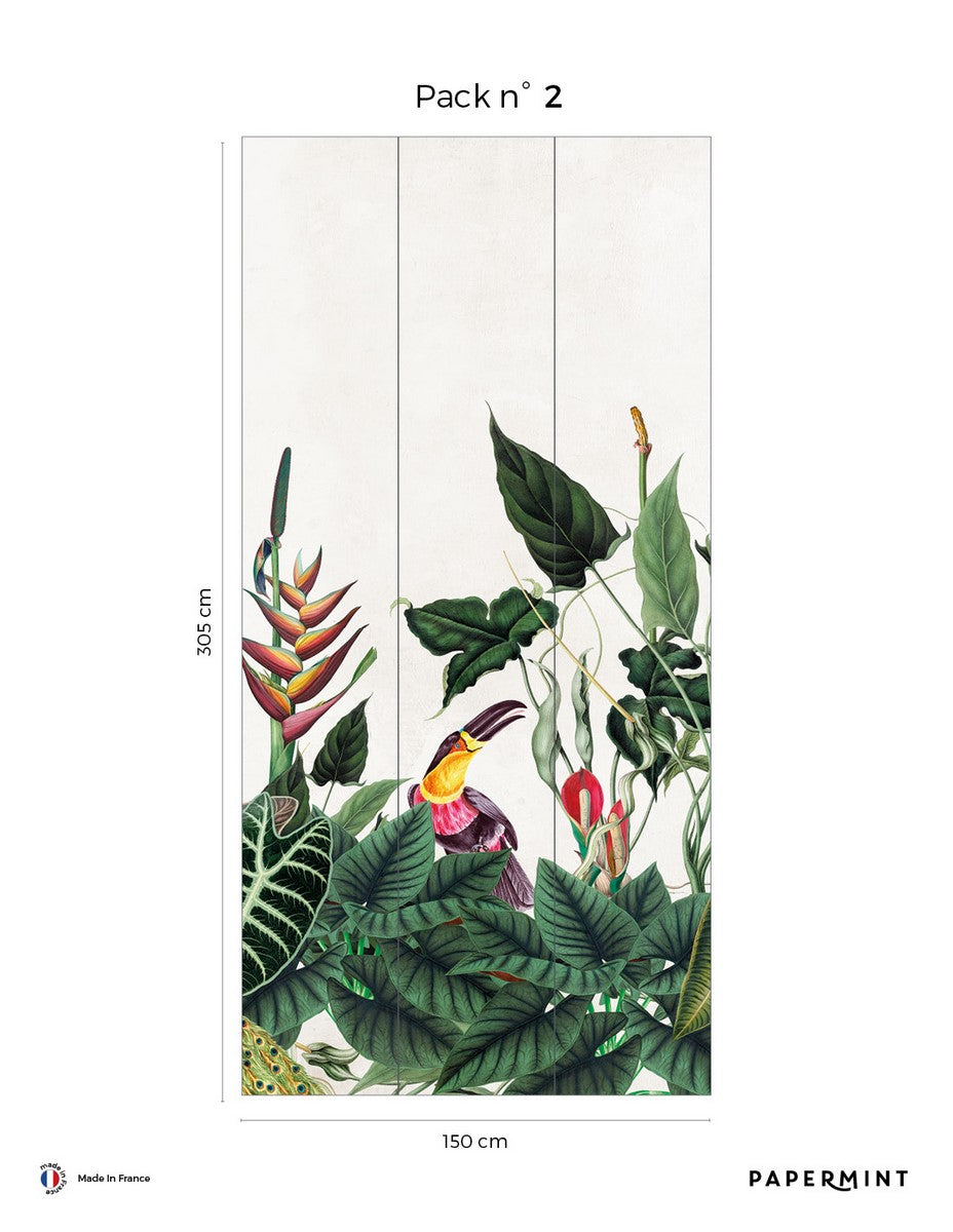 Mural Bornéo - Tropical Green
