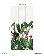 Mural Bornéo - Tropical Green