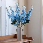 Delphinium In Carta Blu