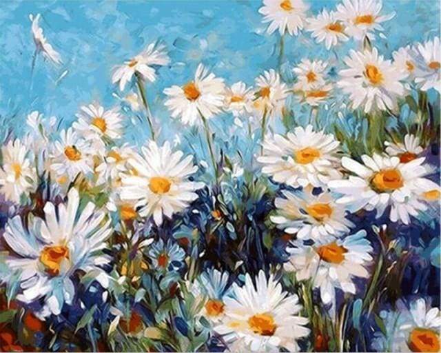 Pintura por números - Campo de margaritas y cielo azul