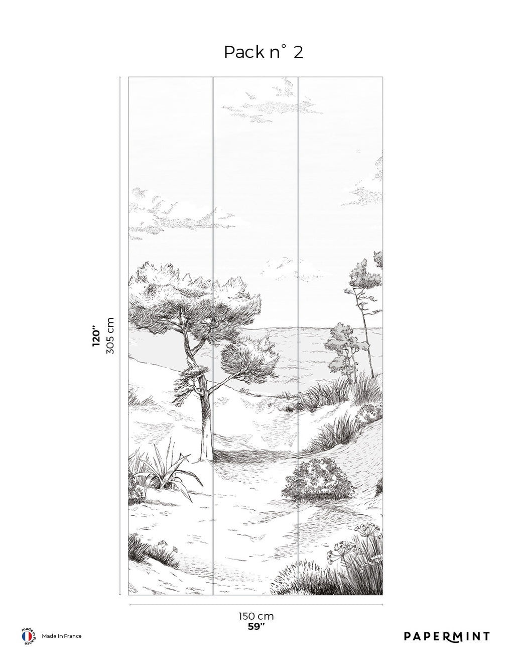 Fresque Côte Sauvage - Embruns