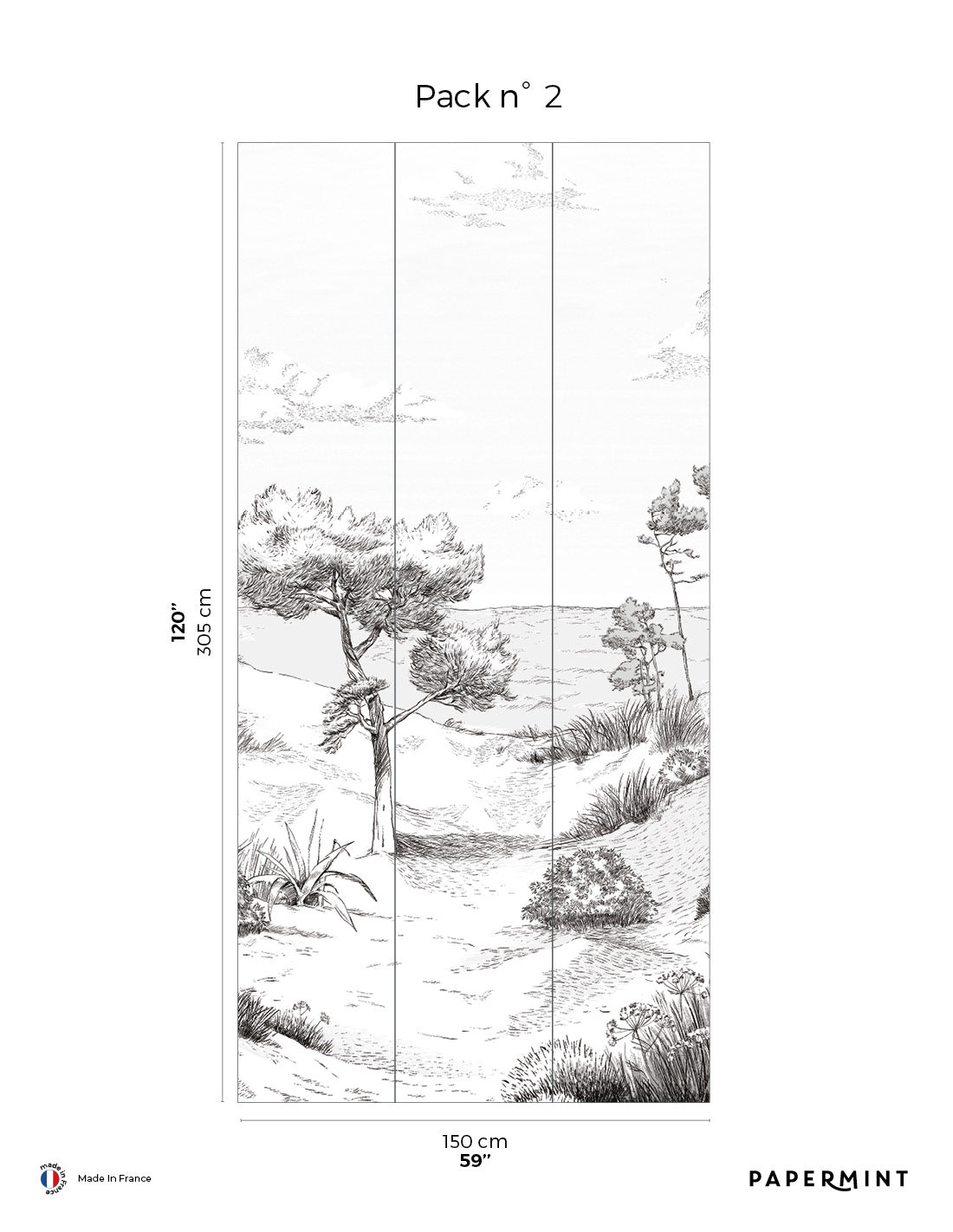 Fresque Côte Sauvage - Embruns