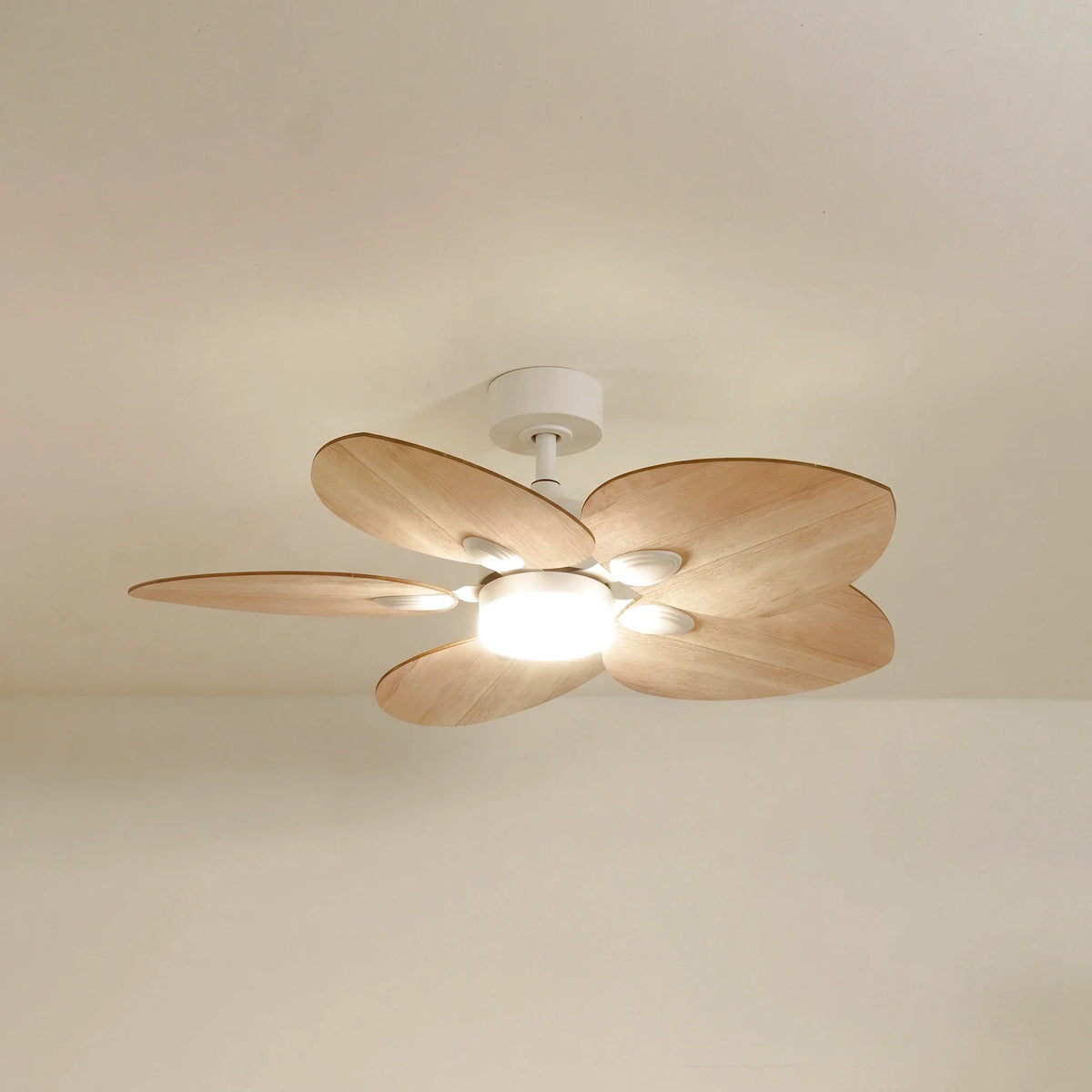 Dahlia Teinté Chêne | Ventilateur De Plafond – Ø 109 Cm
