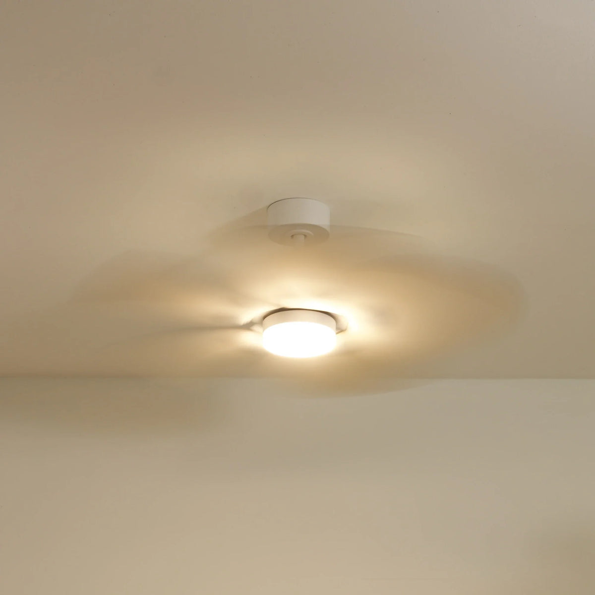 Dahlia Teinté Chêne | Ventilateur De Plafond – Ø 109 Cm