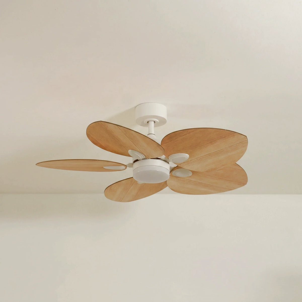 Dahlia Teinté Chêne | Ventilateur De Plafond – Ø 109 Cm