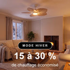 Dahlia Teinté Chêne | Ventilateur De Plafond – Ø 109 Cm