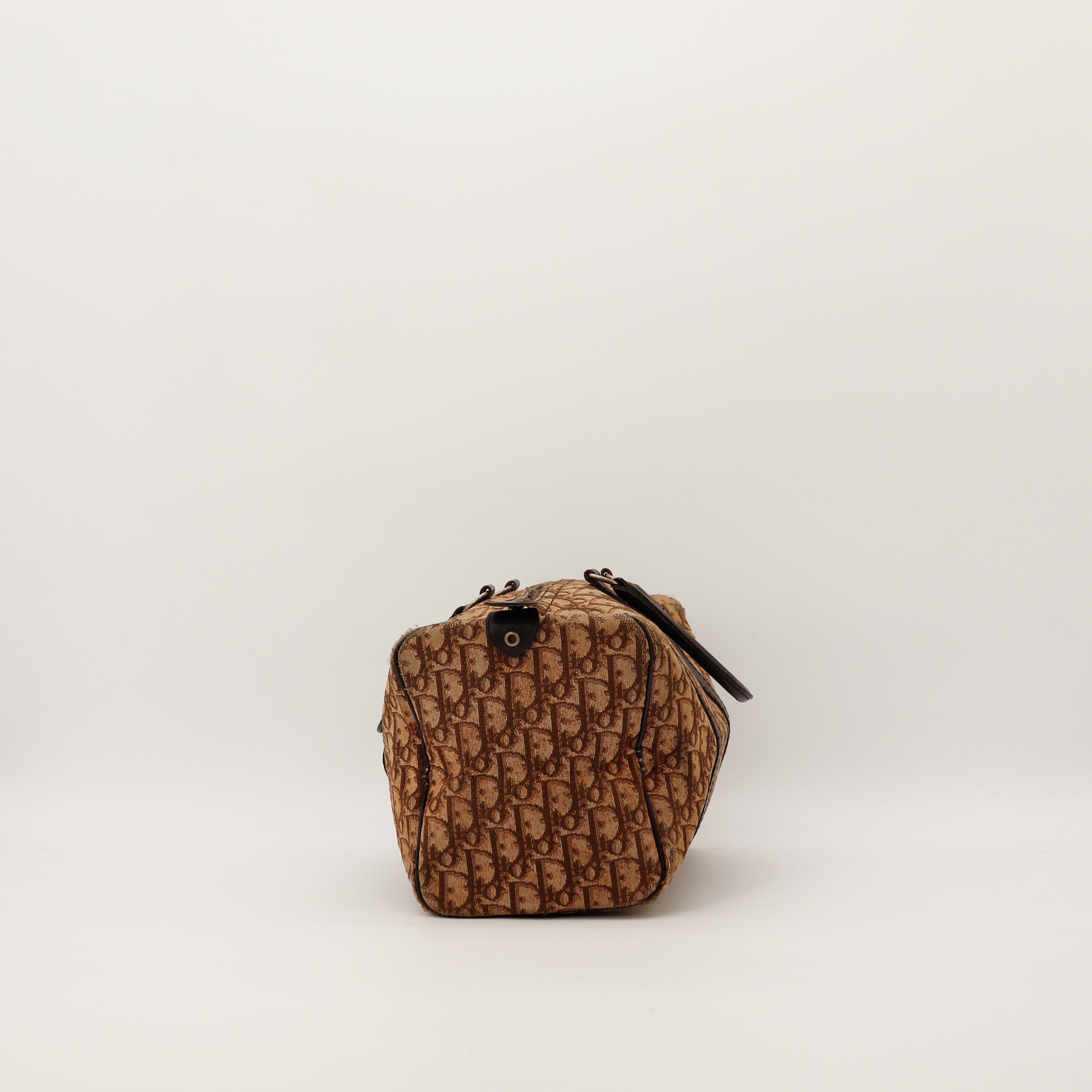 Le Boston Trotter Dior