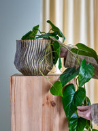 Dua - Plant Pot - Brown - Stoneware