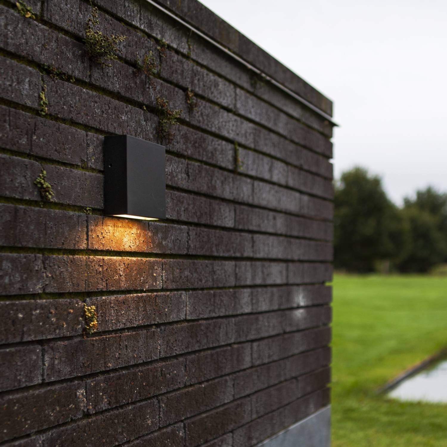 Gemini XF - Mains-Powered Wall Light - Aluminium - Matt Black