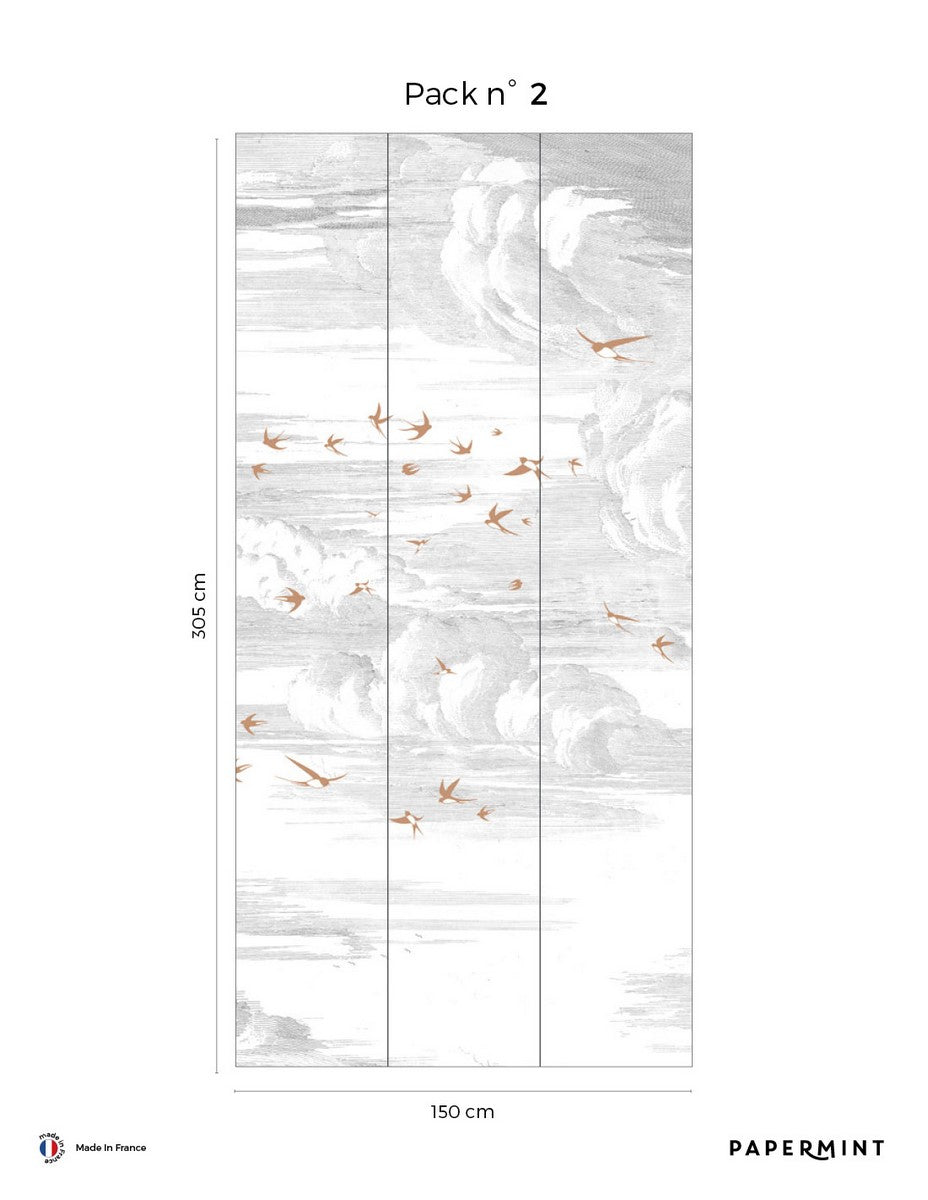 Mural Envolée - Terre De Sienne - Fond Grisaille