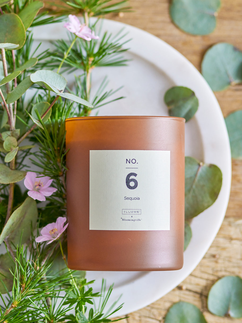 No. 6 - Sequoia - Scented Candle - Brown - Natural Wax