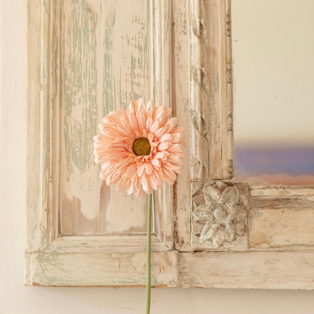 Gerbera de Papel Albaricoque