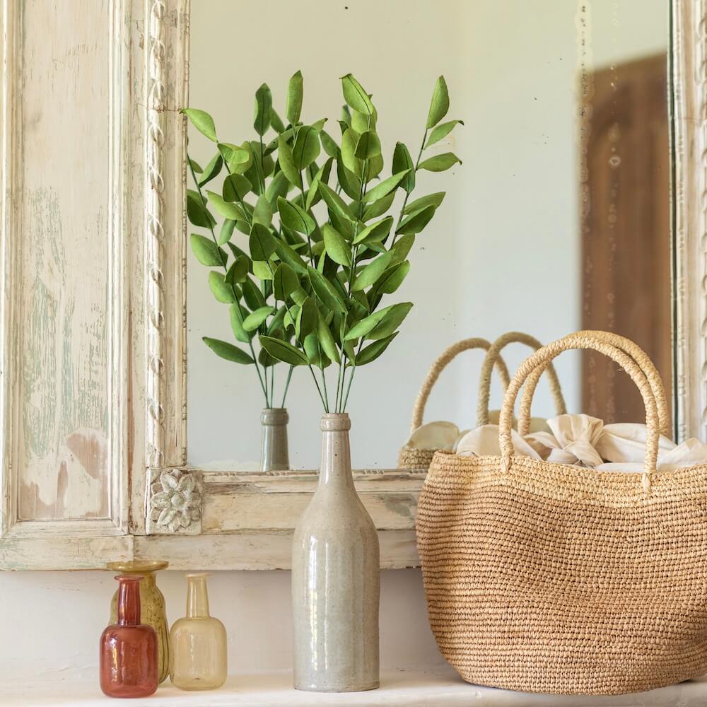 Ruscus I Grönt Papper