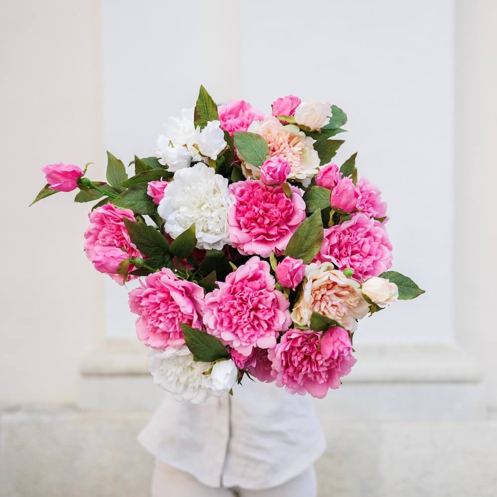 Peonia rosa scuro