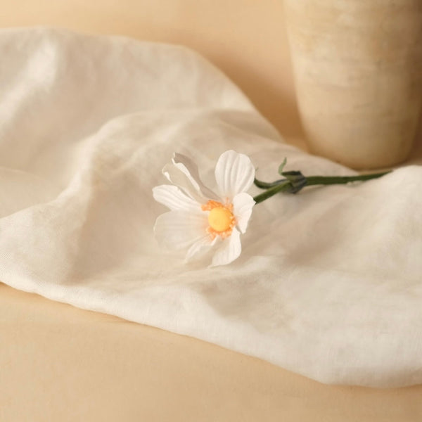 Cosmos In Carta Bianca