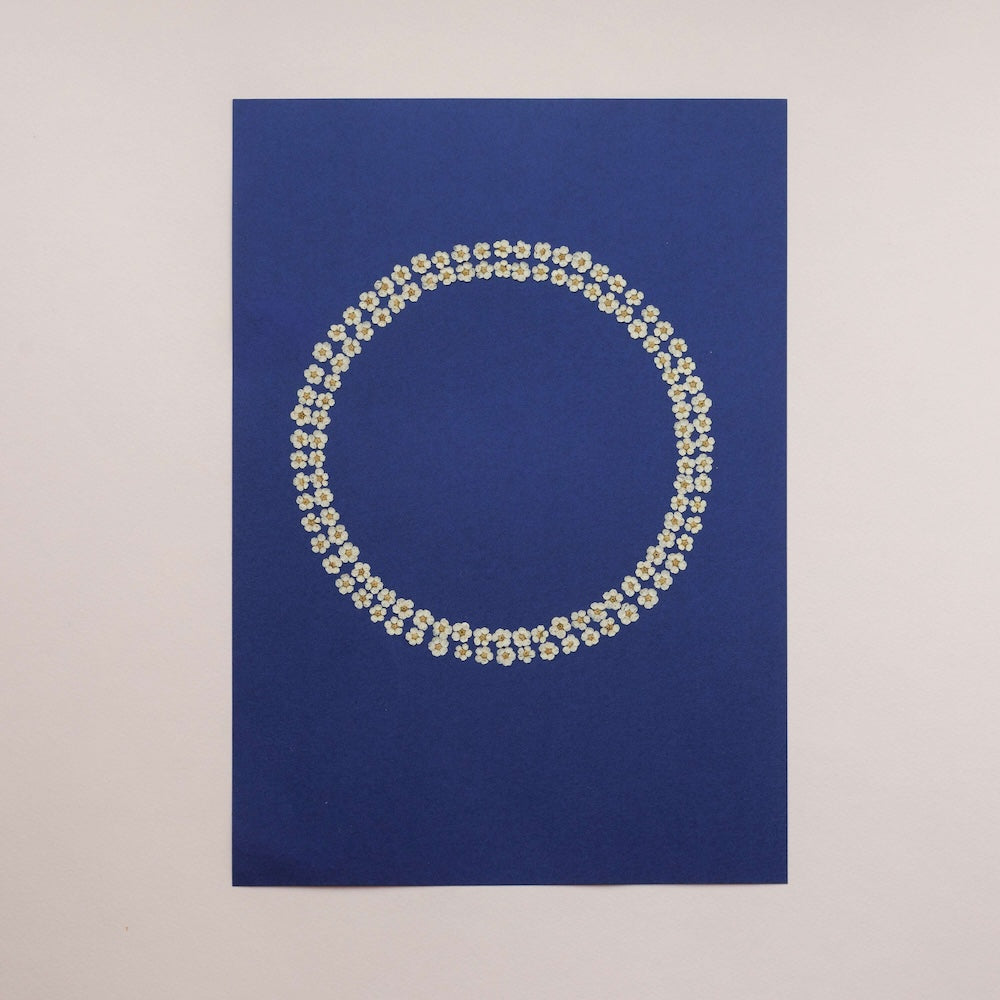 Erbario Chiaro di Luna A4