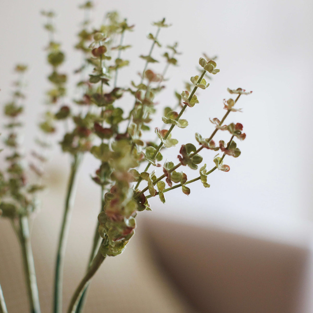 Brins D'Astilbe En Papier Vert