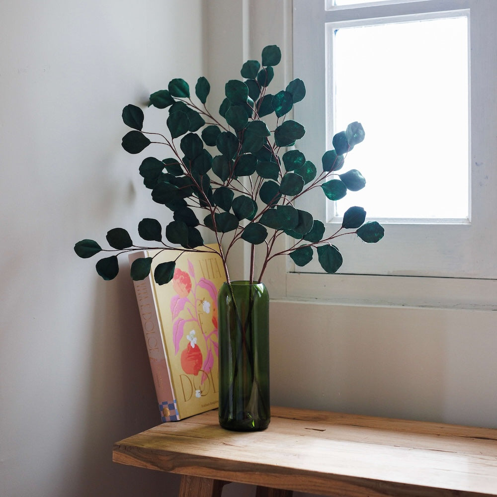 Eucalyptus Gum Tree En Papier Vert Forêt