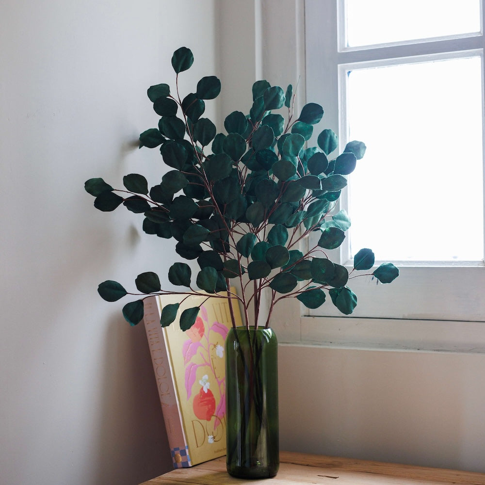 Eucalyptus Gum Tree En Papier Vert Forêt