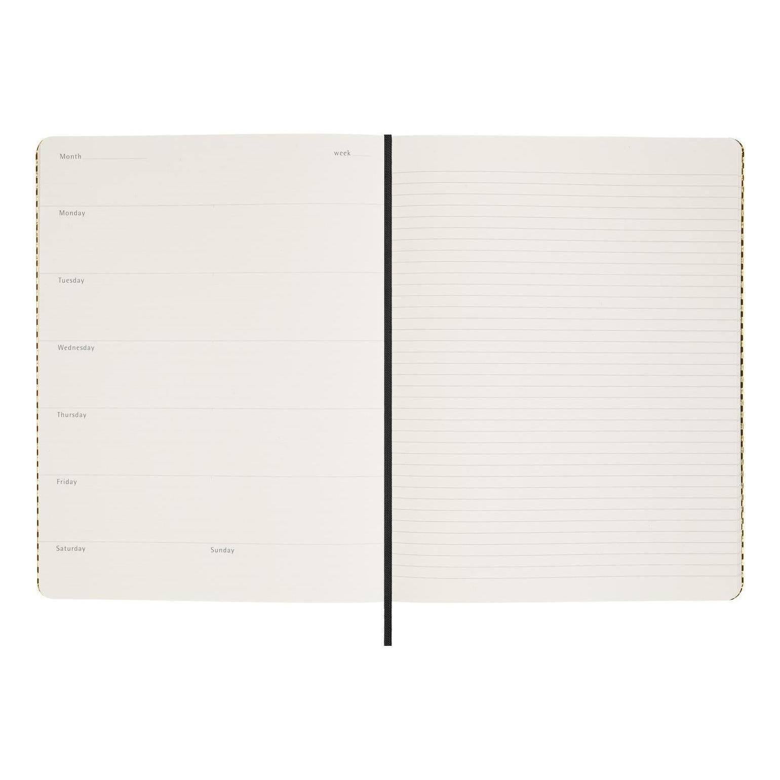 Agenda Sans Dates Xl 20,4X25,2 - Sans Dates - Or