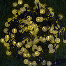Festy - Guirlande Solaire - Plastique - Transparent