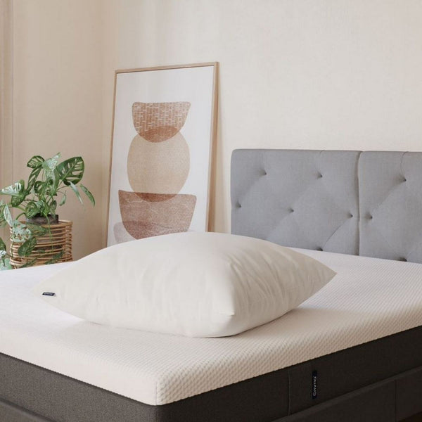 Cloud Microfiber Pillow