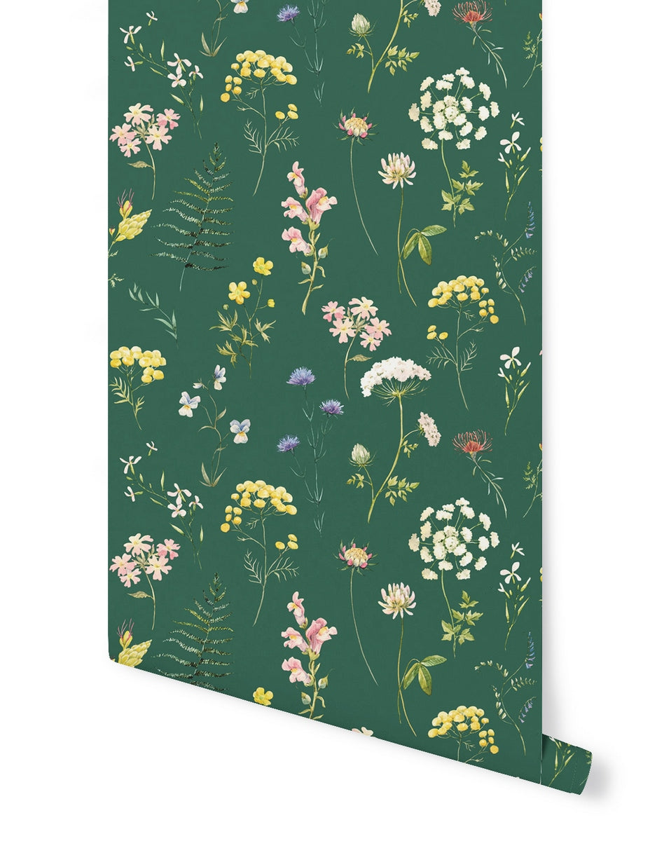 Rollo Papel Pintado Herbier - Prairie