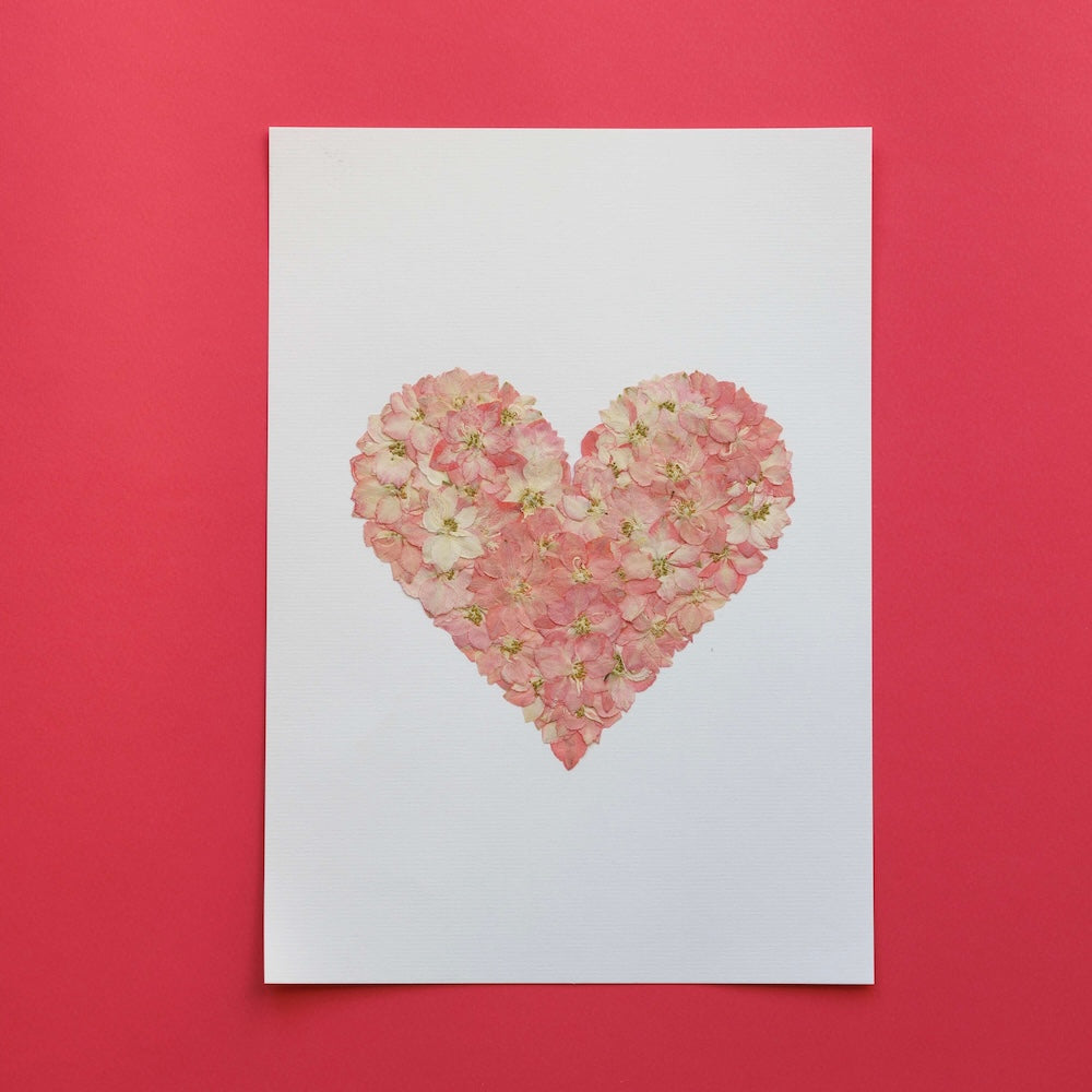 Erbario L'Amour Toujours A4