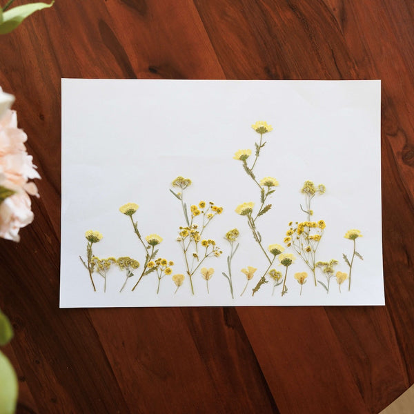 Herbier Pétales Champêtres A3