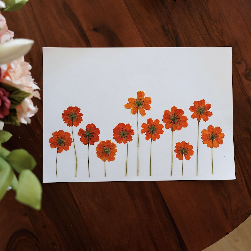 Herbarium Solrigt Landskab A3