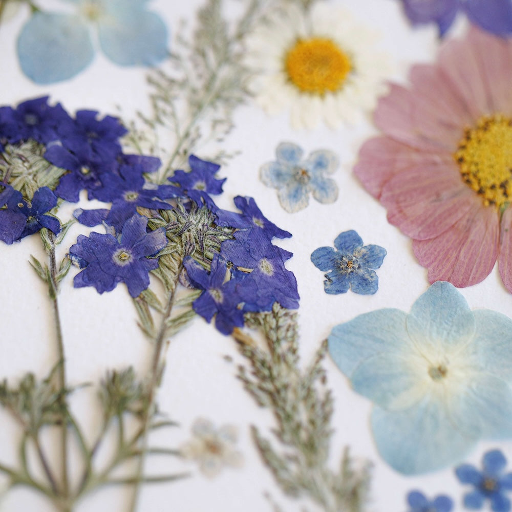 Herbier Éclosion Florale A3