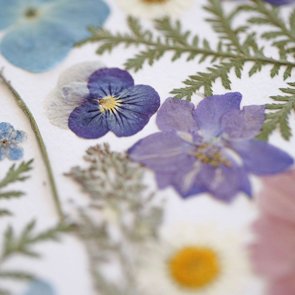 Herbier Éclosion Florale A3