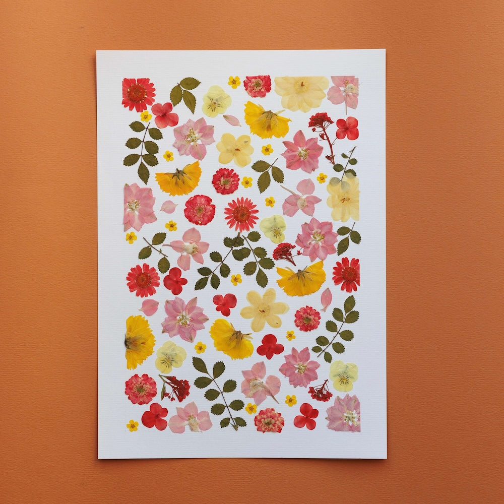 Herbarium Jardin De Douceur A4