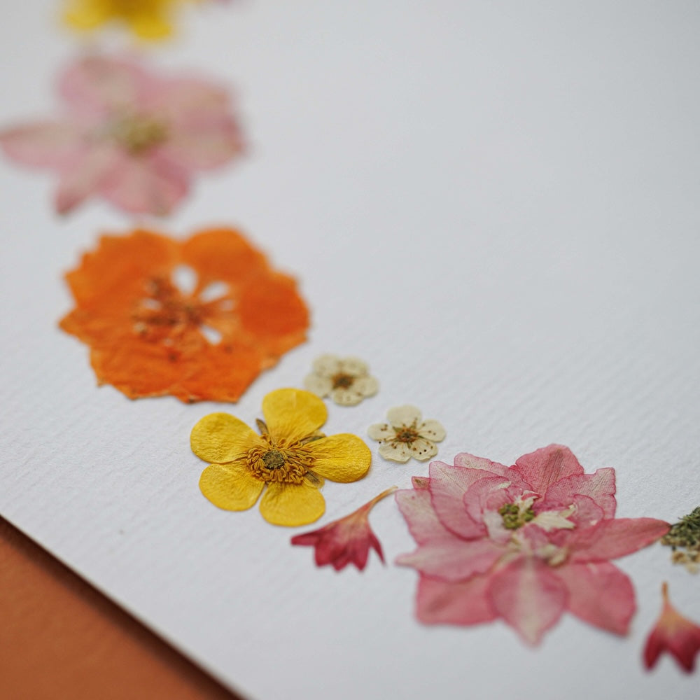 Herbarium Sérénade Florale A4