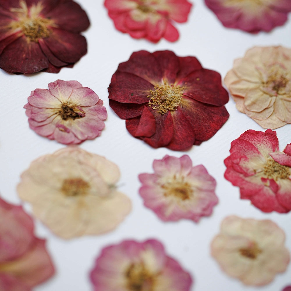 Herbarium Jardin Des Amoureux A4