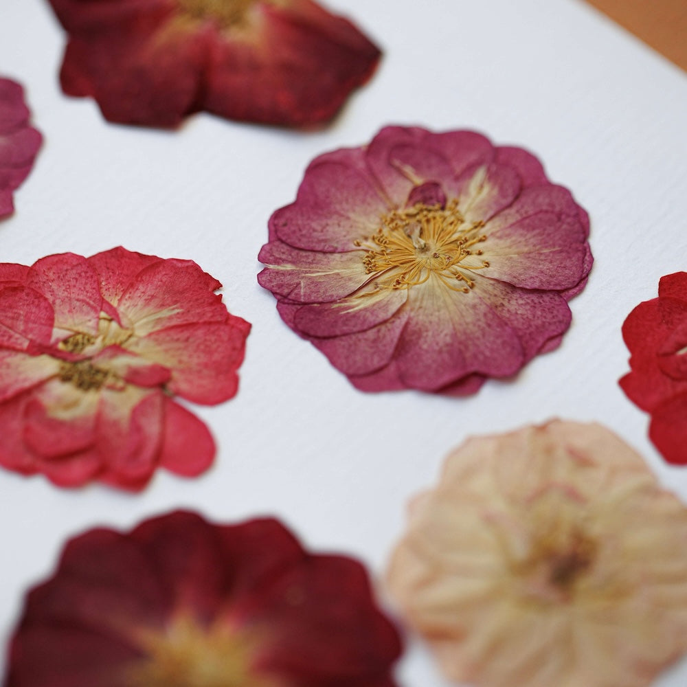 Herbarium Jardin Des Amoureux A4
