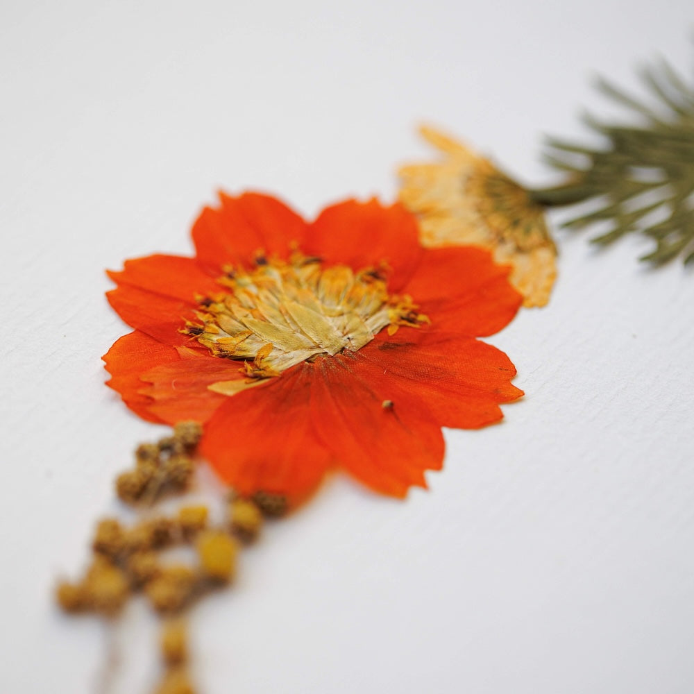 Herbarium Chant Du Jardin A4