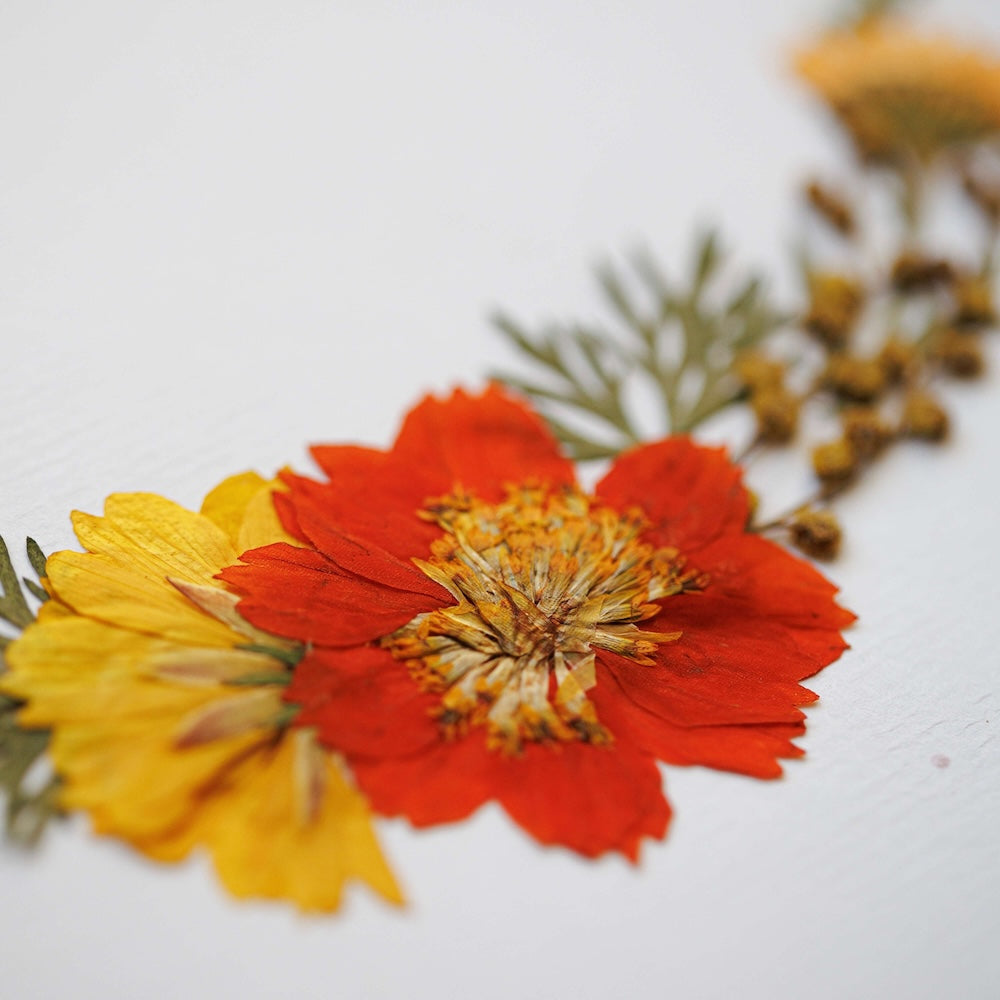 Herbarium Chant Du Jardin A4