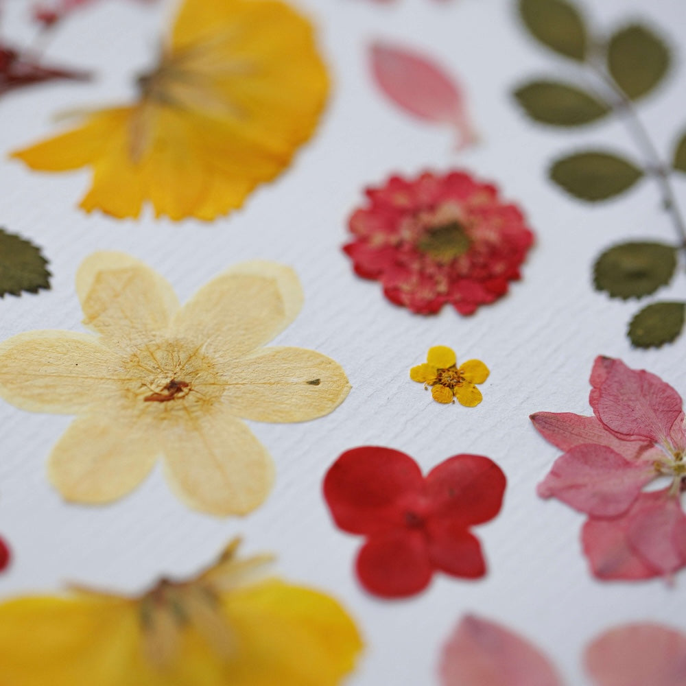 Herbarium Jardin De Douceur A4