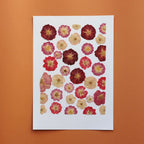 Herbarium Jardin Des Amoureux A4