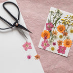 Diy-pakket herbarium abecedarium roze