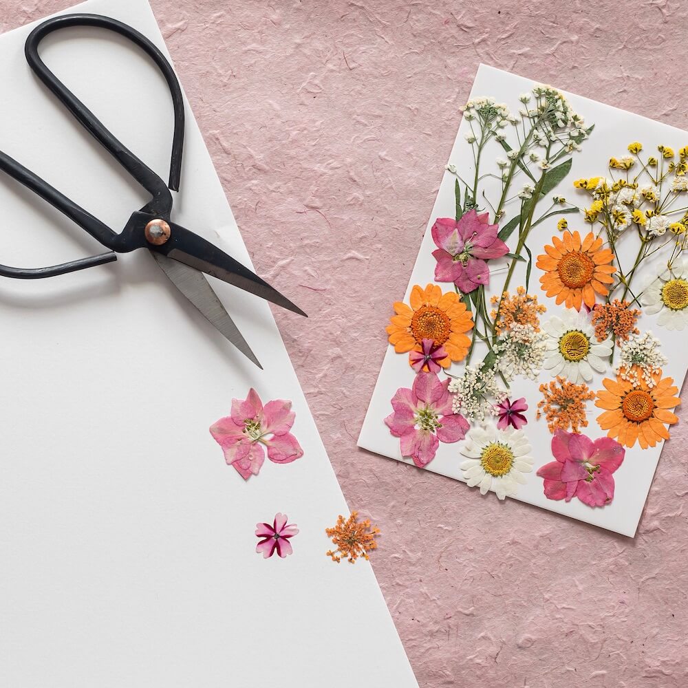 Diy-pakket herbarium abecedarium roze