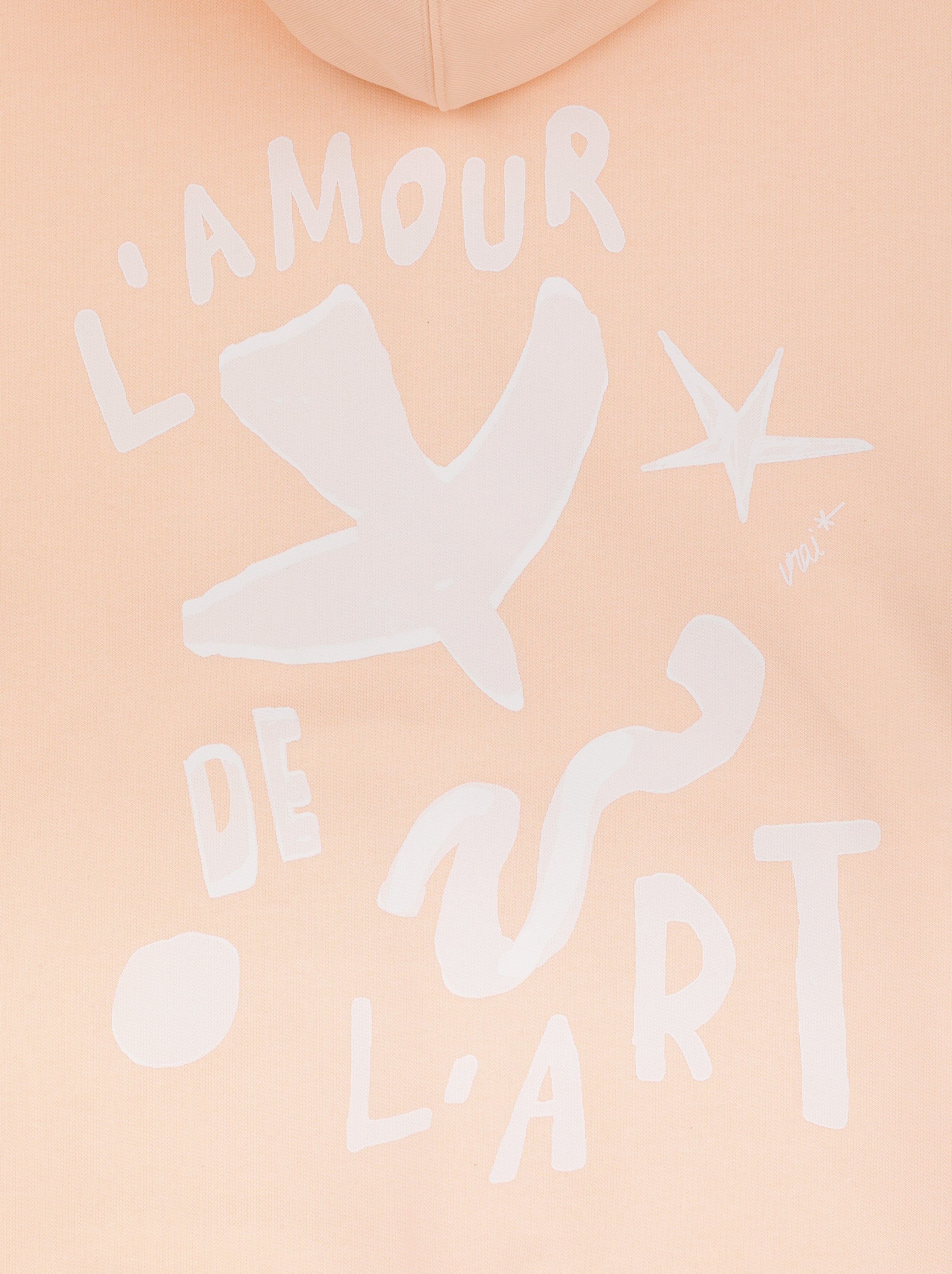 Sweat Capuche Unisexe Fresque Abricot