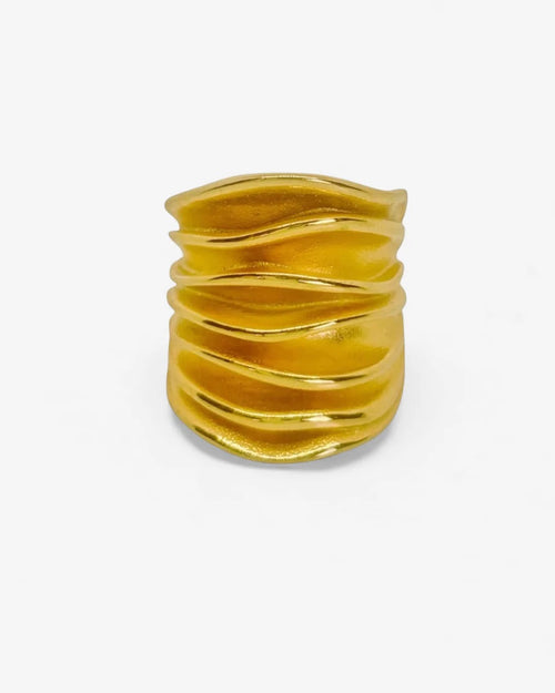 Anillo Caracol