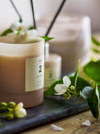 No. 2 - Green Gardenia - Set of 6 Scented Candles - Powder Pink - Natural Wax